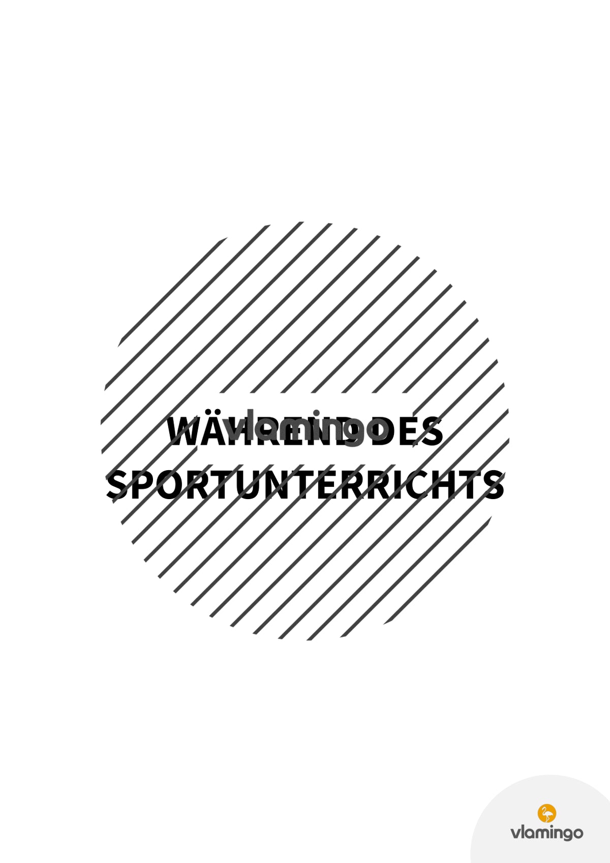 Regeln & Rituale im Sportunterricht: 25+ Karten