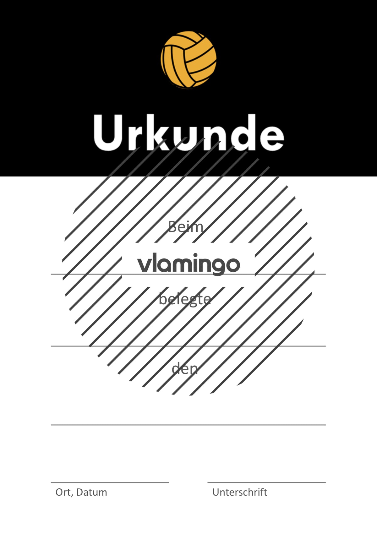 Volleyball - 12 Urkunden-Vorlagen für Turniere und Wettbewerbe [editierbar]