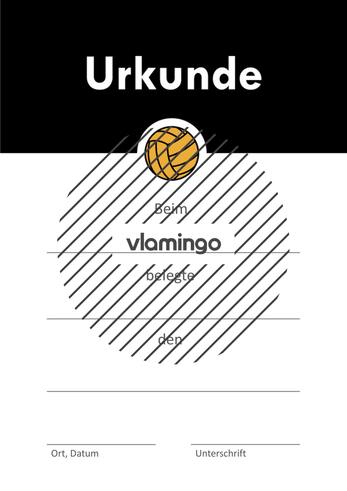 Volleyball - 12 Urkunden-Vorlagen für Turniere und Wettbewerbe [editierbar]
