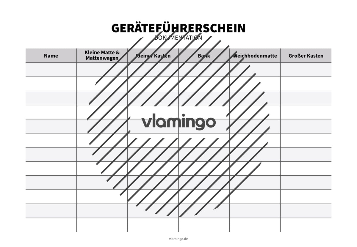Geräteführerschein: Bildkarten & Begleitmaterial für den Sportunterricht