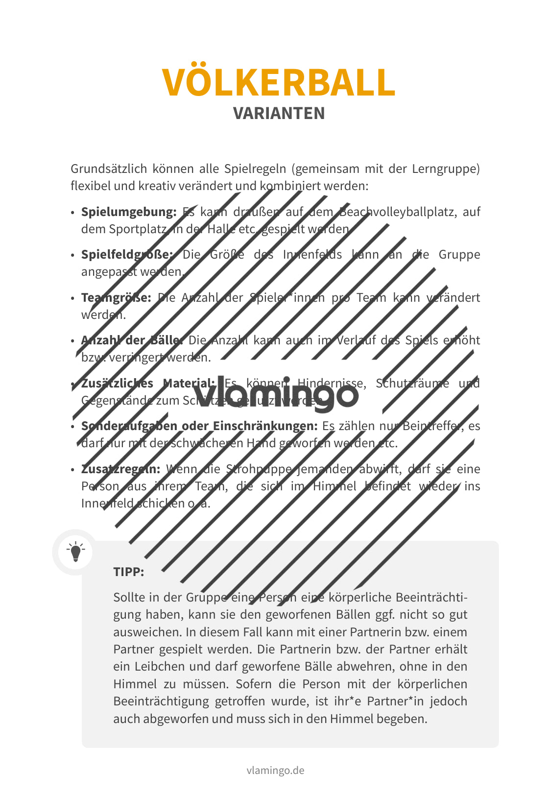 20+ Völkerball-Varianten für den Sportunterricht (Zwei-Felder-Ball)