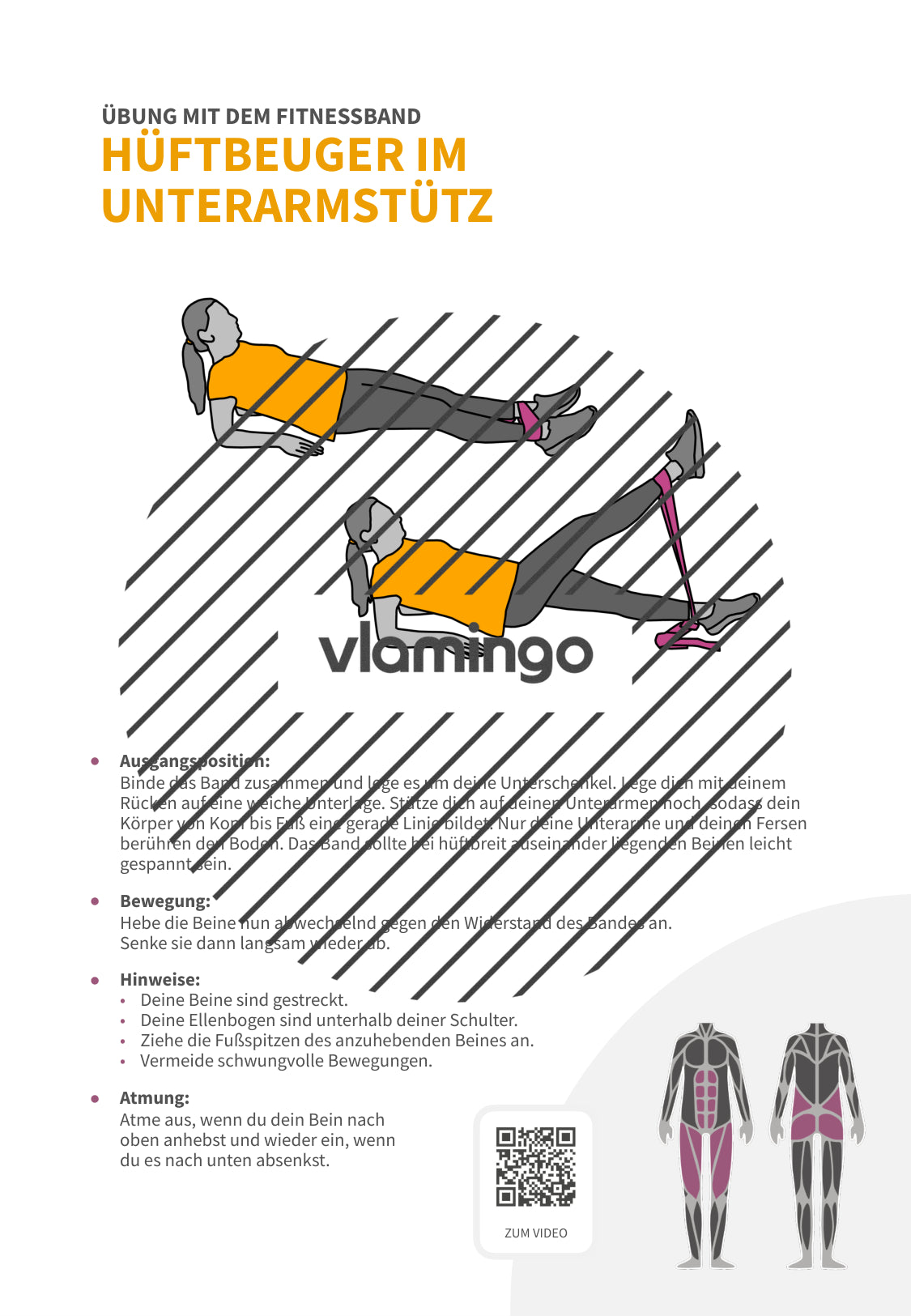 64 Fitnessband-Übungen für Zuhause, Trainer*innen & Sportlehrkräfte