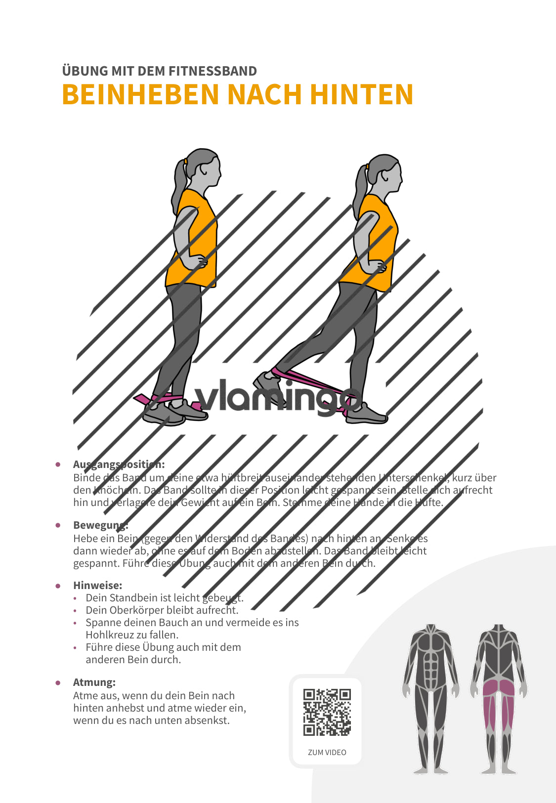 64 Fitnessband-Übungen für Zuhause, Trainer*innen & Sportlehrkräfte