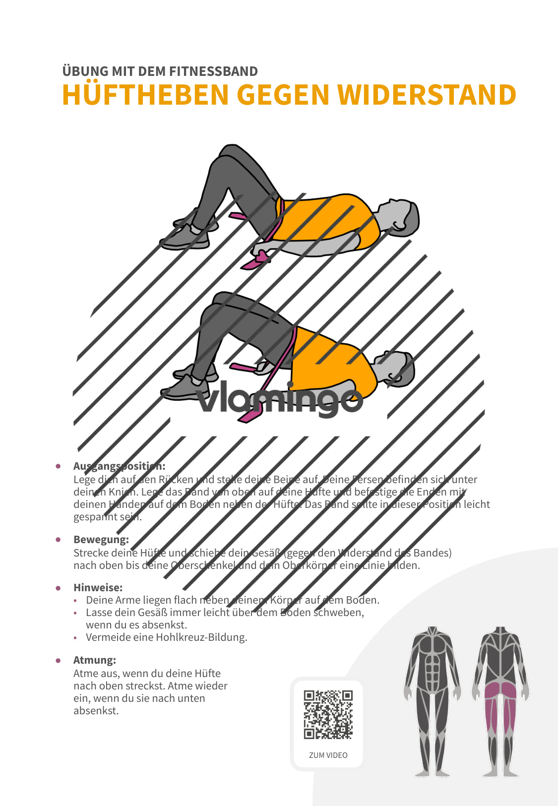 64 Fitnessband-Übungen für Zuhause, Trainer*innen & Sportlehrkräfte