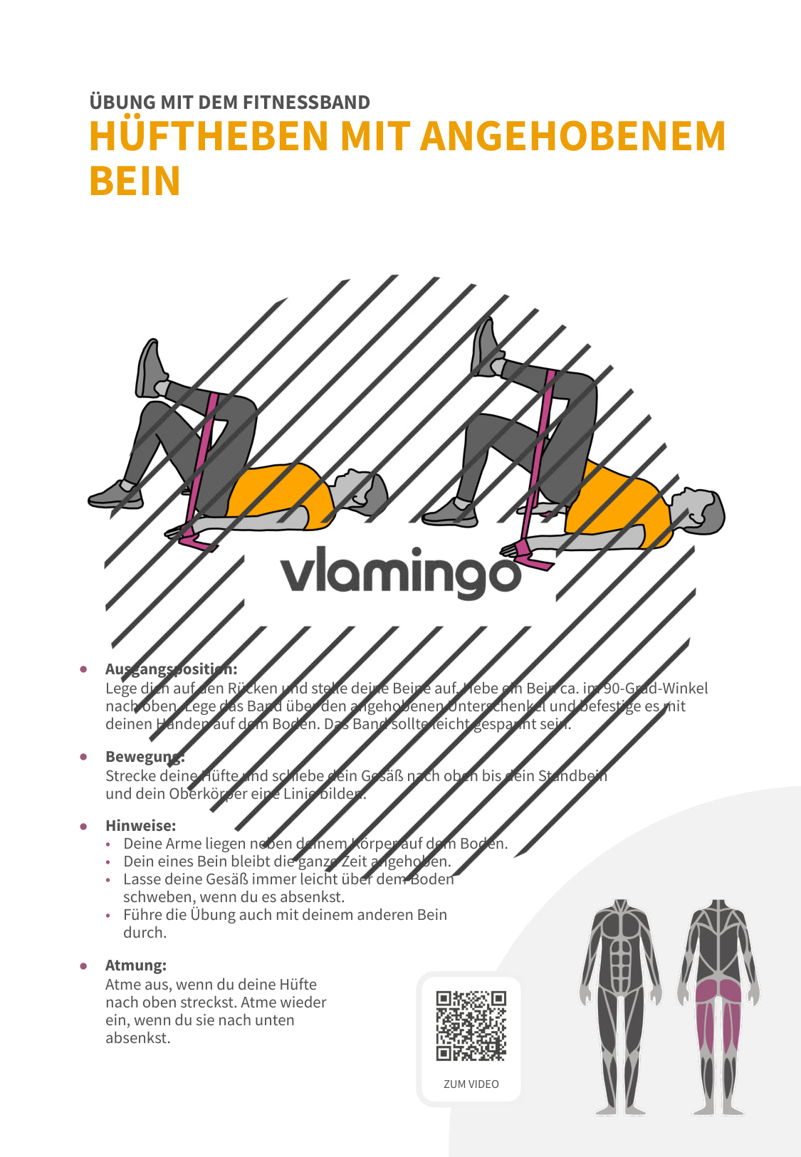 64 Fitnessband-Übungen für Zuhause, Trainer*innen & Sportlehrkräfte