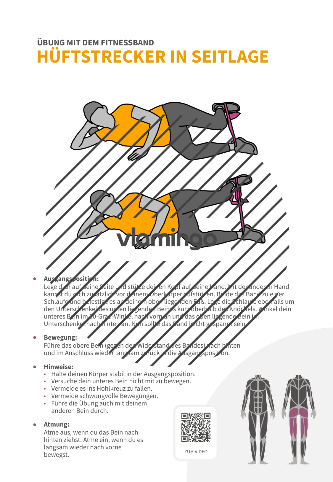 64 Fitnessband-Übungen für Zuhause, Trainer*innen & Sportlehrkräfte