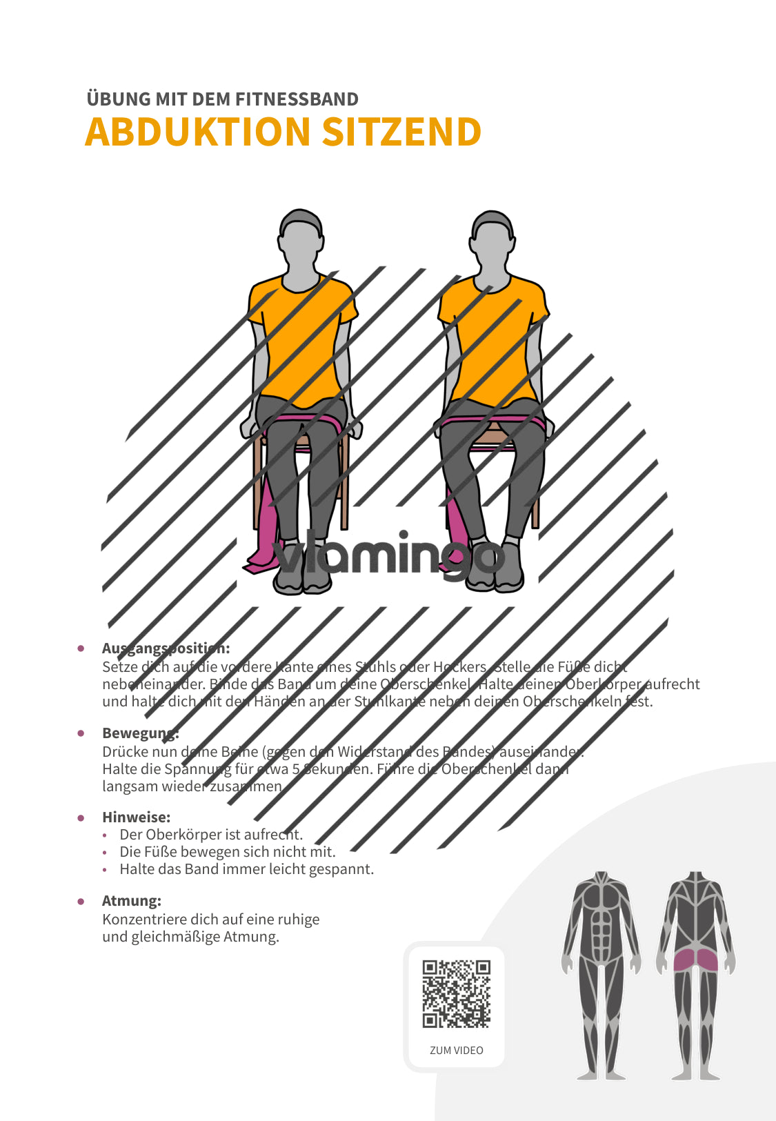 64 Fitnessband-Übungen für Zuhause, Trainer*innen & Sportlehrkräfte