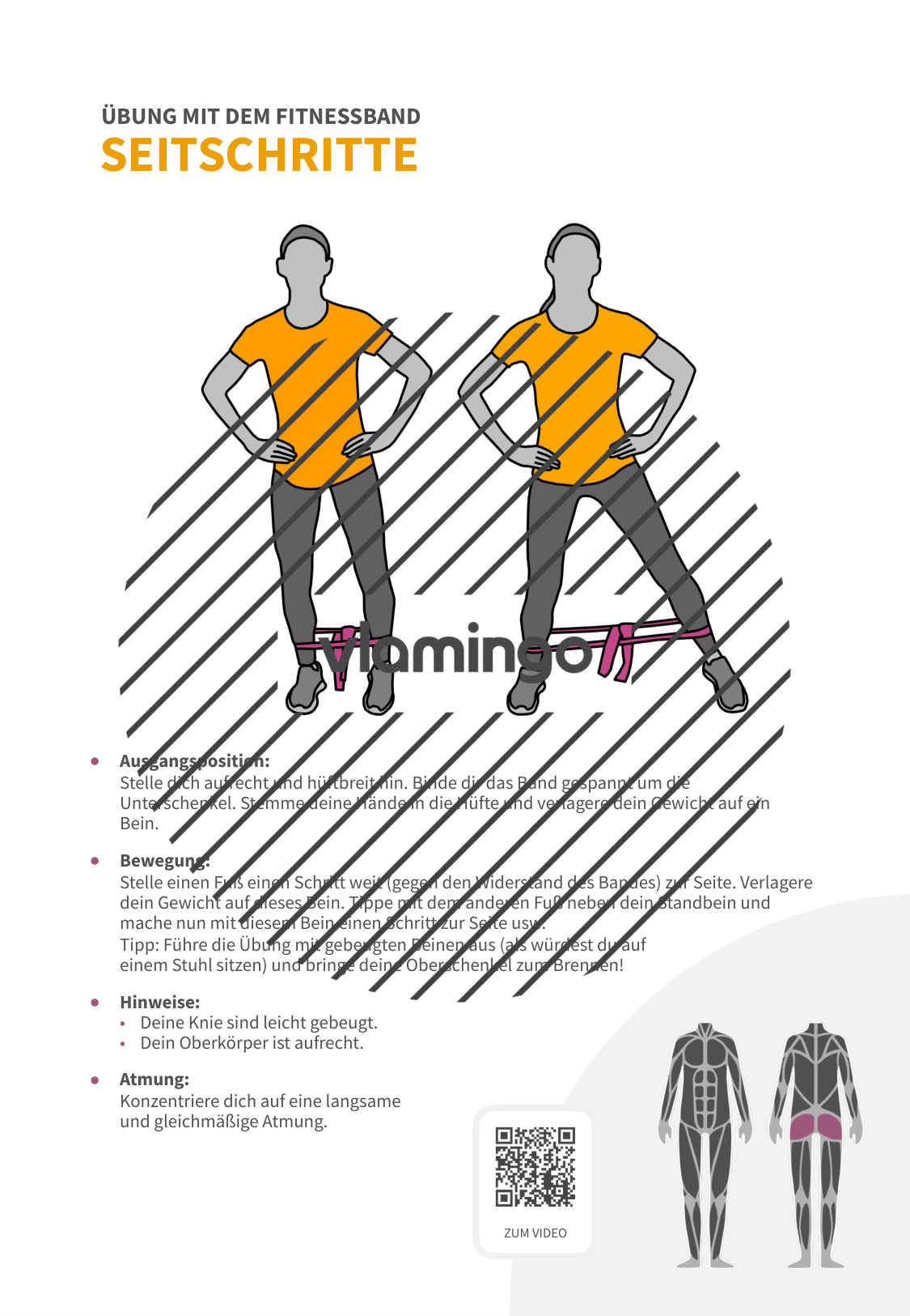 64 Fitnessband-Übungen für Zuhause, Trainer*innen & Sportlehrkräfte