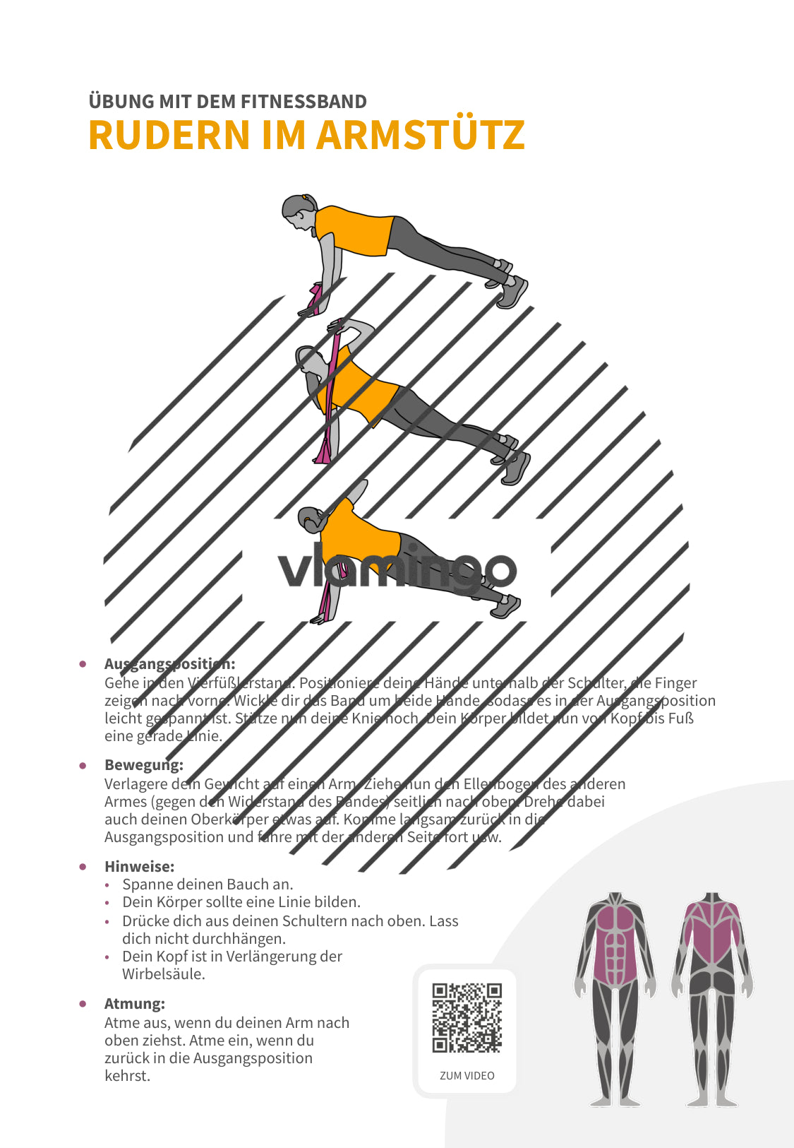 64 Fitnessband-Übungen für Zuhause, Trainer*innen & Sportlehrkräfte