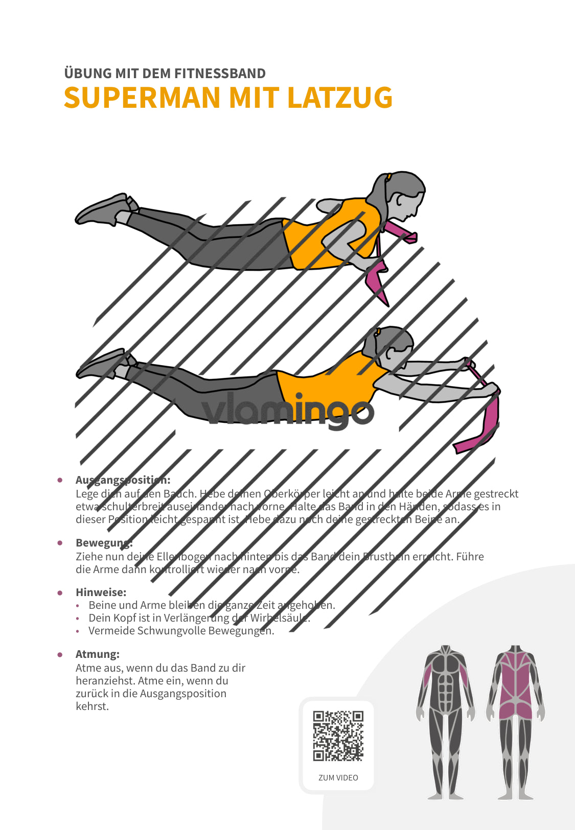 64 Fitnessband-Übungen für Zuhause, Trainer*innen & Sportlehrkräfte