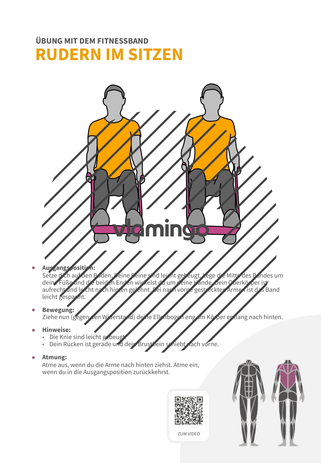 64 Fitnessband-Übungen für Zuhause, Trainer*innen & Sportlehrkräfte
