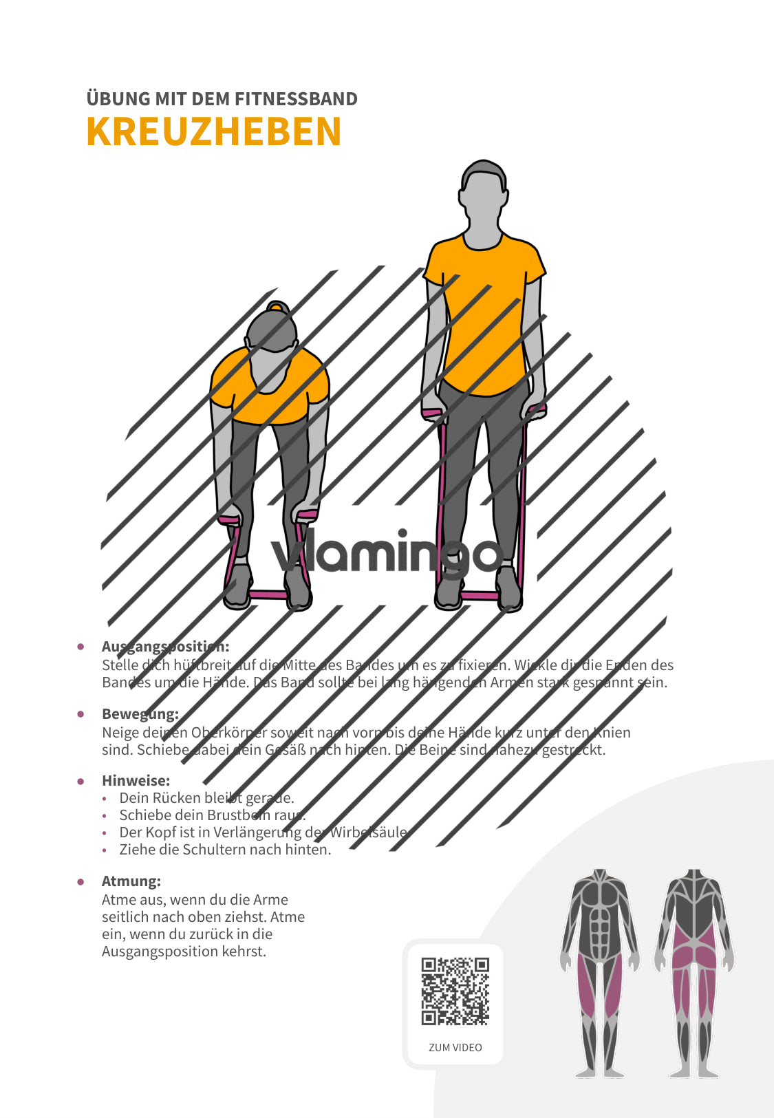 64 Fitnessband-Übungen für Zuhause, Trainer*innen & Sportlehrkräfte