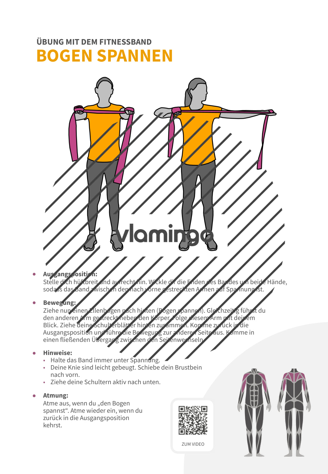 64 Fitnessband-Übungen für Zuhause, Trainer*innen & Sportlehrkräfte