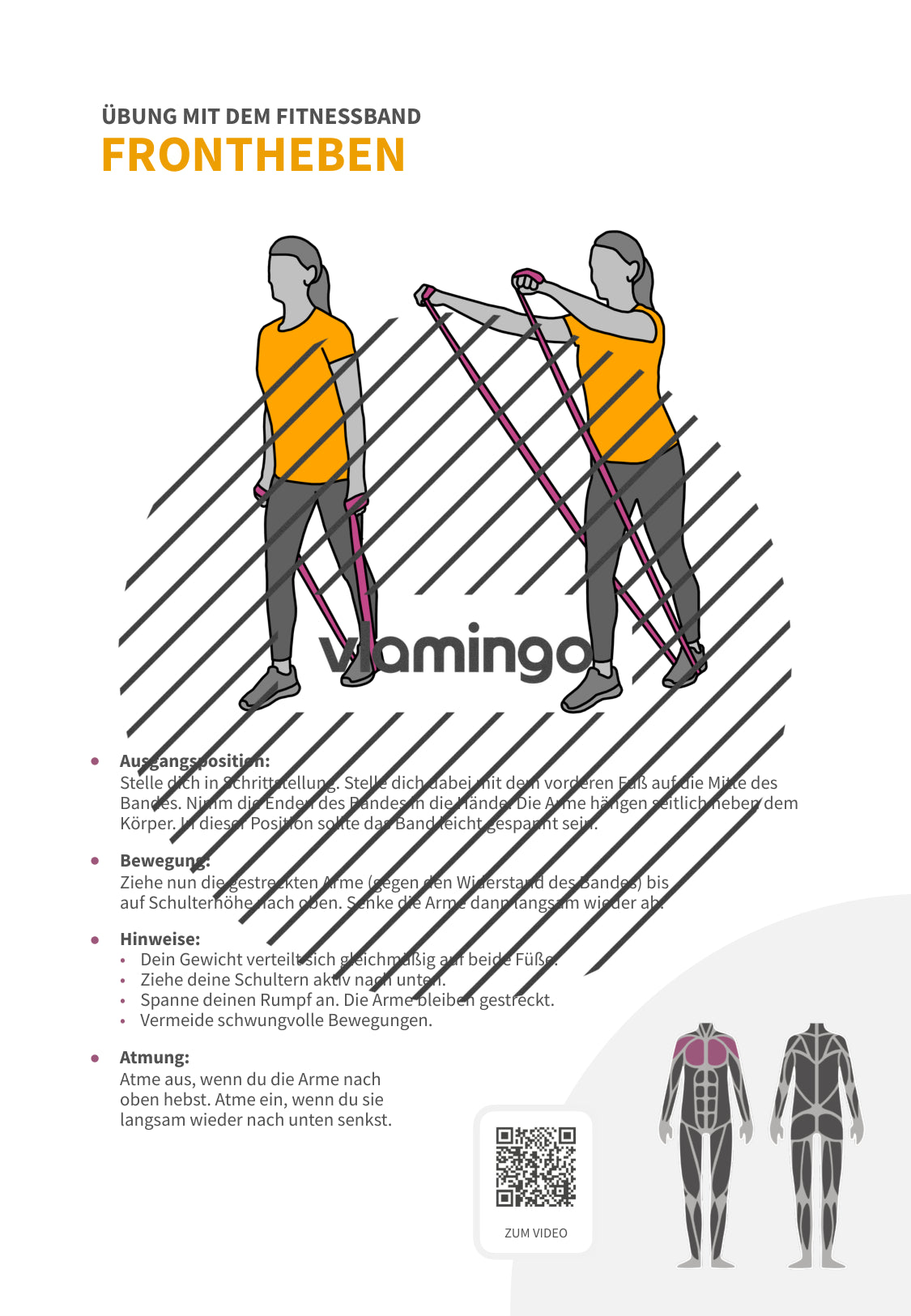 64 Fitnessband-Übungen für Zuhause, Trainer*innen & Sportlehrkräfte