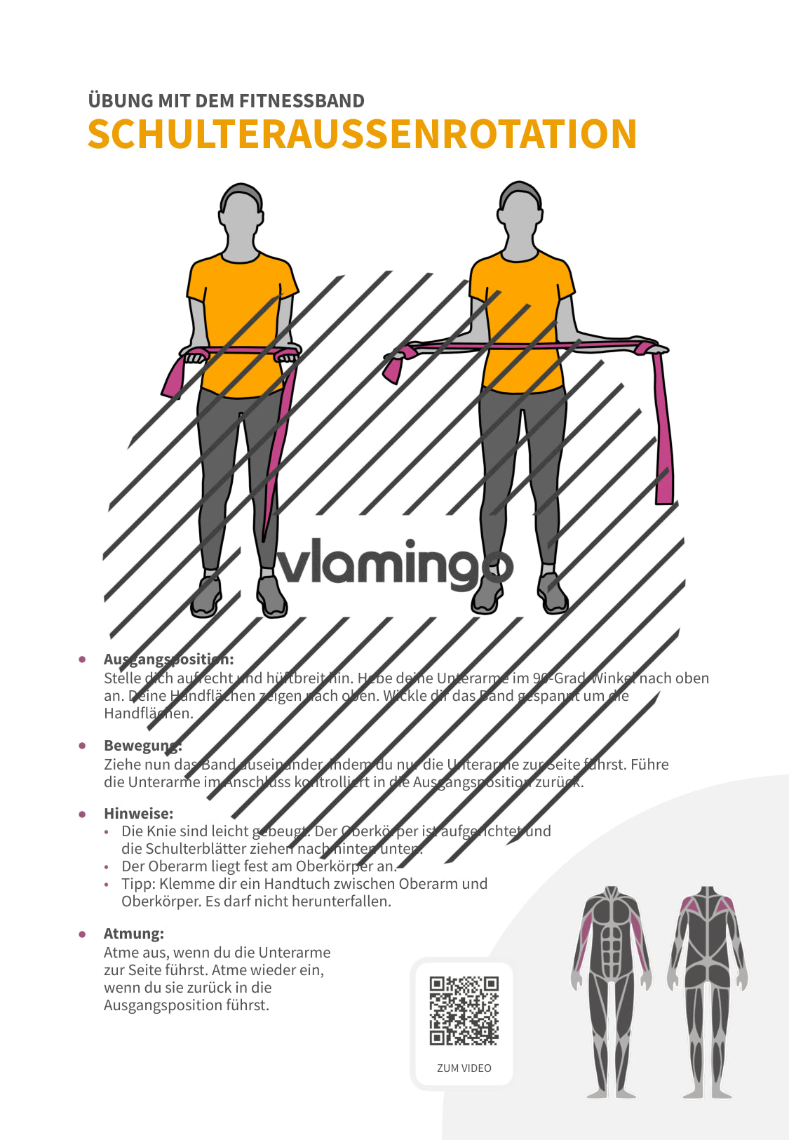64 Fitnessband-Übungen für Zuhause, Trainer*innen & Sportlehrkräfte