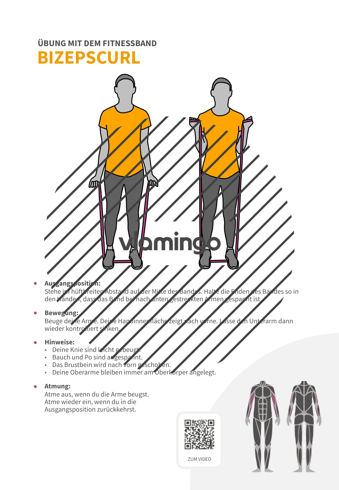 64 Fitnessband-Übungen für Zuhause, Trainer*innen & Sportlehrkräfte