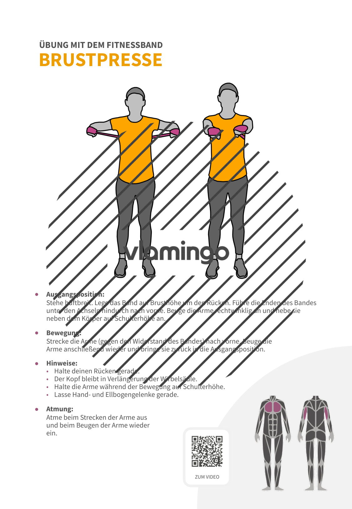 64 Fitnessband-Übungen für Zuhause, Trainer*innen & Sportlehrkräfte