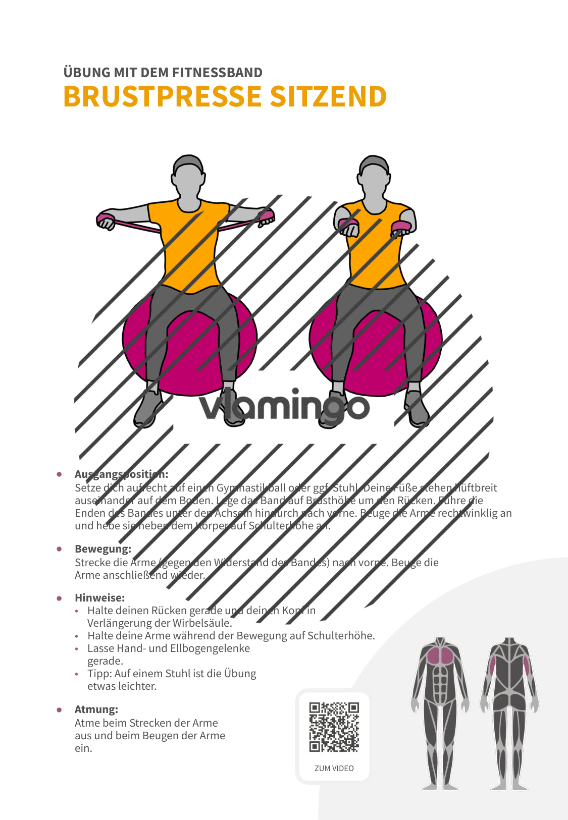 64 Fitnessband-Übungen für Zuhause, Trainer*innen & Sportlehrkräfte