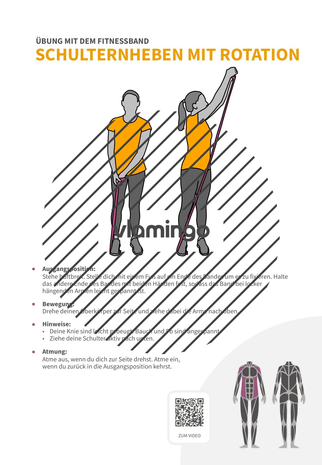 64 Fitnessband-Übungen für Zuhause, Trainer*innen & Sportlehrkräfte