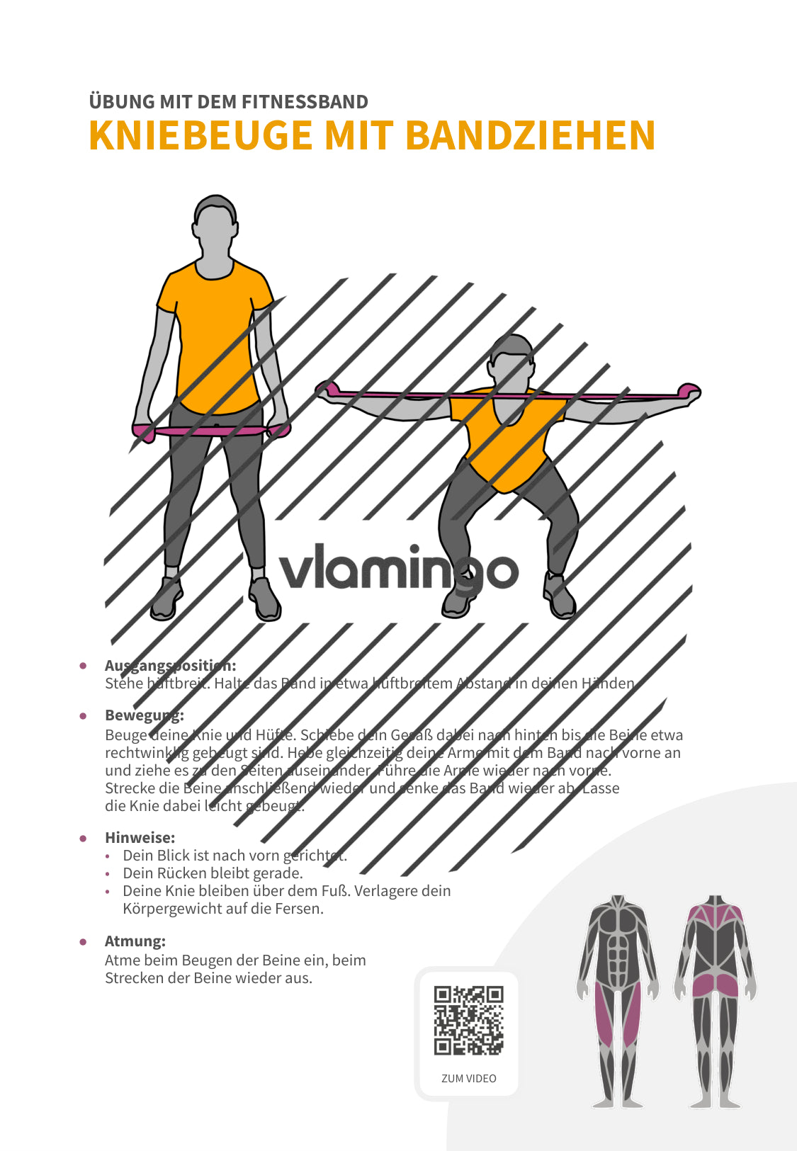 64 Fitnessband-Übungen für Zuhause, Trainer*innen & Sportlehrkräfte