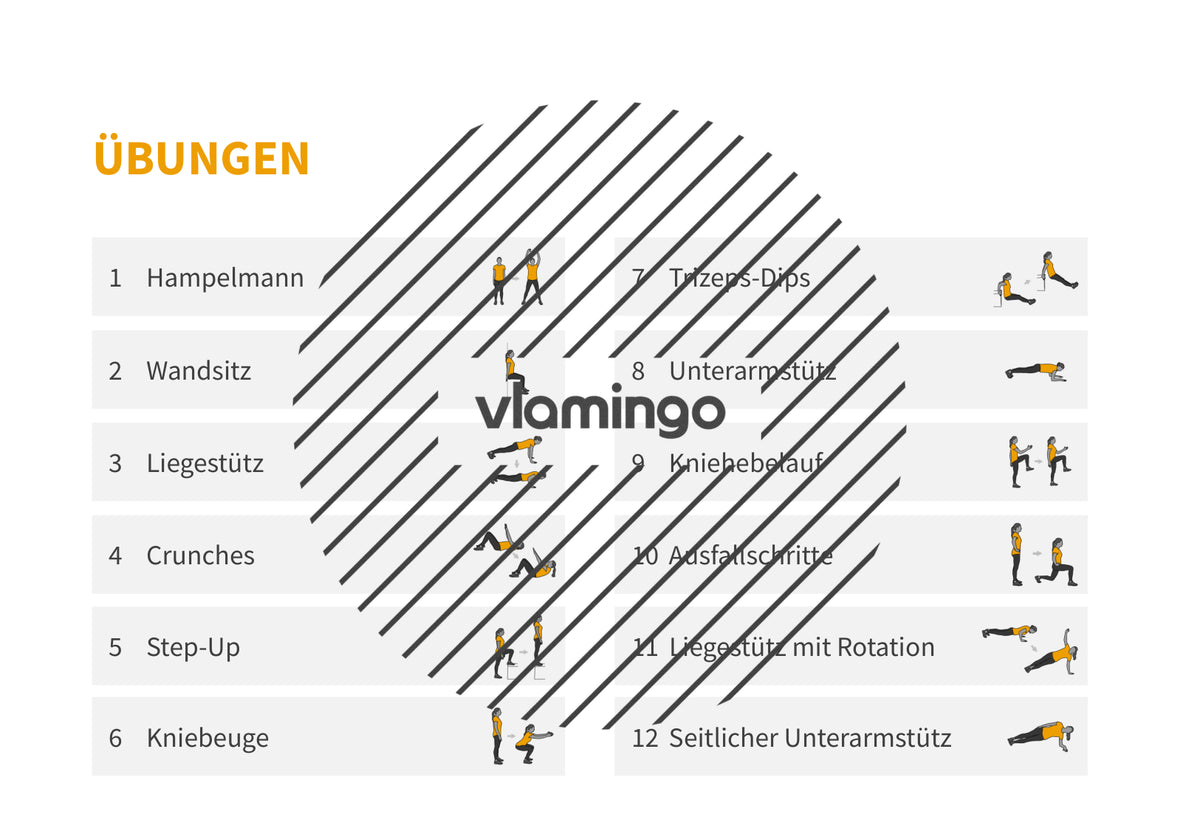 7 Minuten Workout (Übungskarten, Video & Audio)