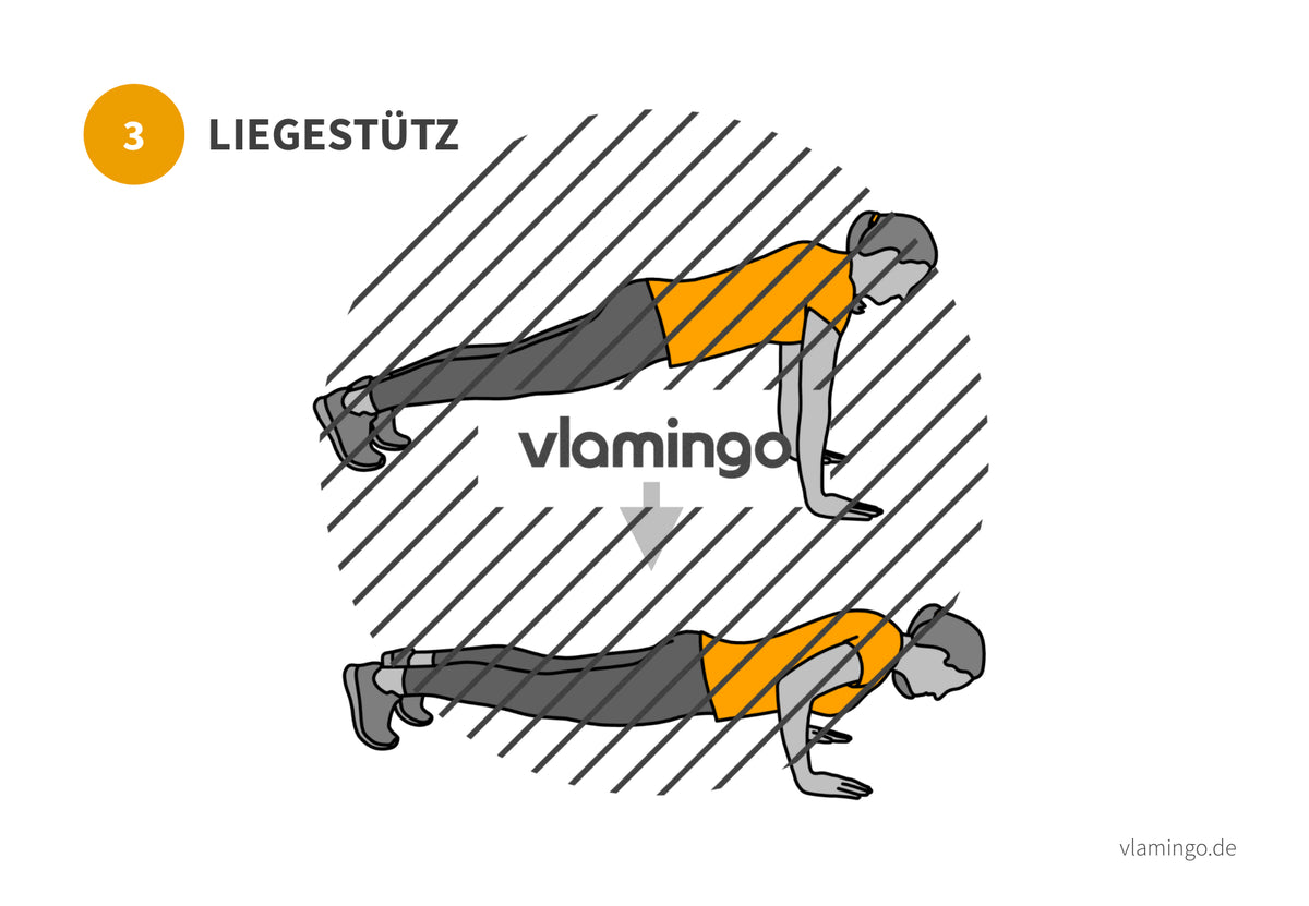 7 Minuten Workout (Übungskarten, Video & Audio)