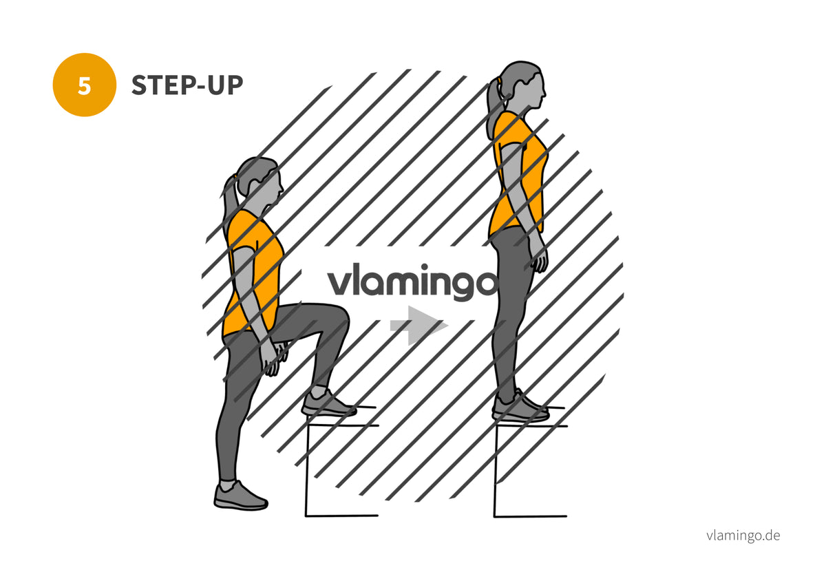 7 Minuten Workout (Übungskarten, Video & Audio)