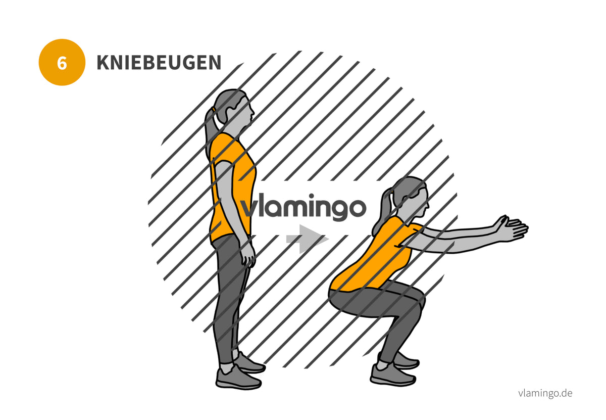 7 Minuten Workout (Übungskarten, Video & Audio)