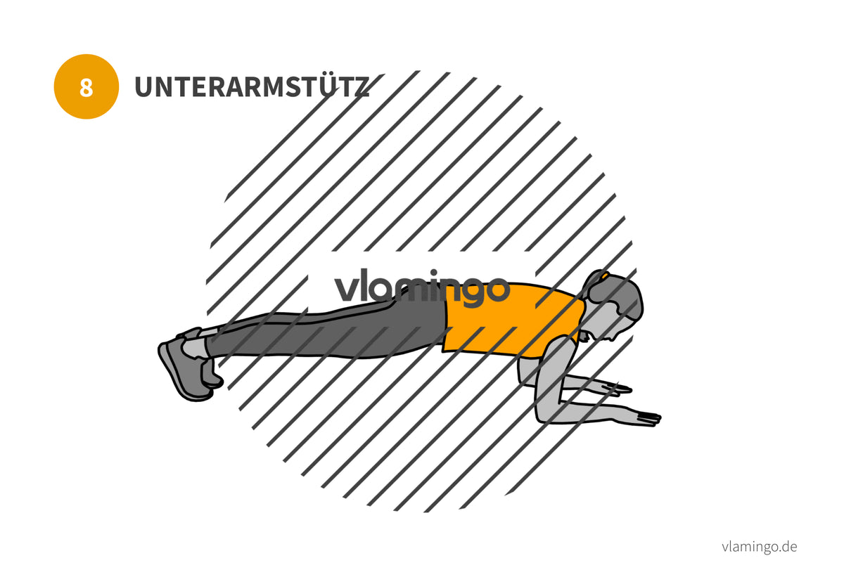 7 Minuten Workout (Übungskarten, Video & Audio)
