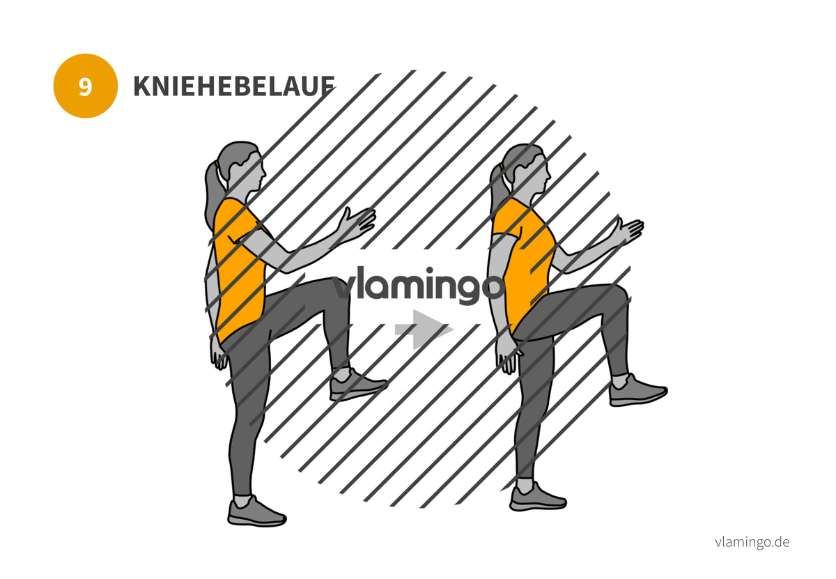 7 Minuten Workout (Übungskarten, Video & Audio)