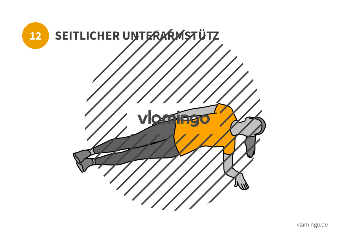 7 Minuten Workout (Übungskarten, Video & Audio)