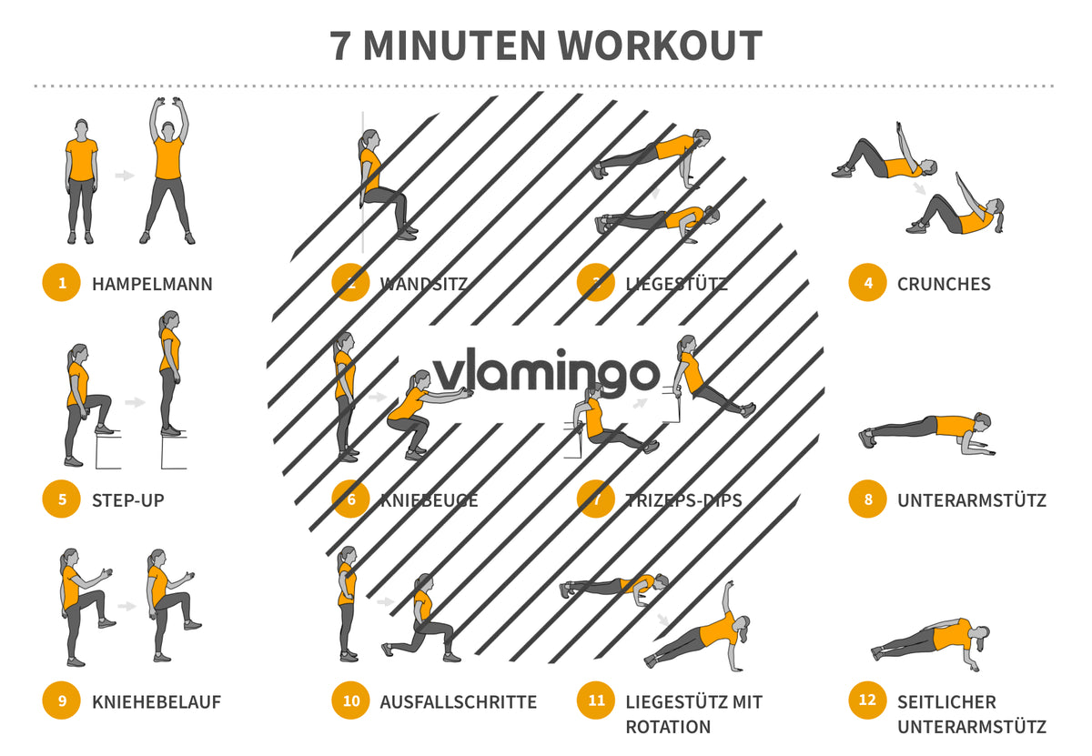7 Minuten Workout (Übungskarten, Video & Audio)