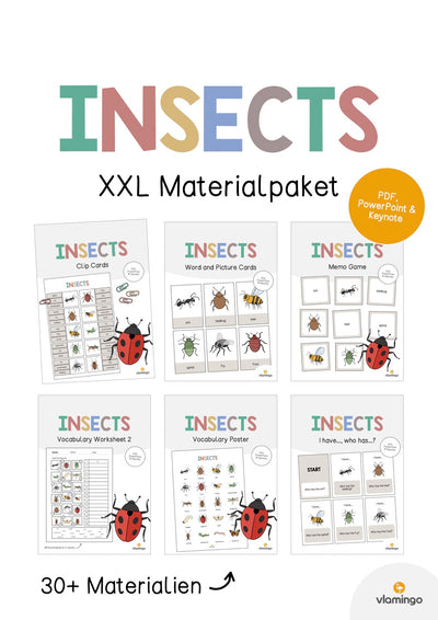 Insects / Insekten: XXL Materialpaket für den Englischunterricht