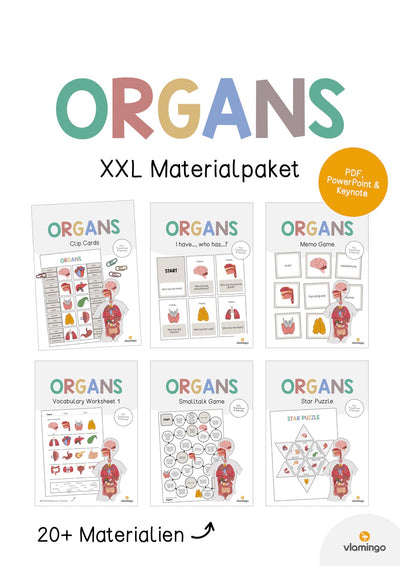 Organs / Organe: XXL Materialpaket für den Englischunterricht