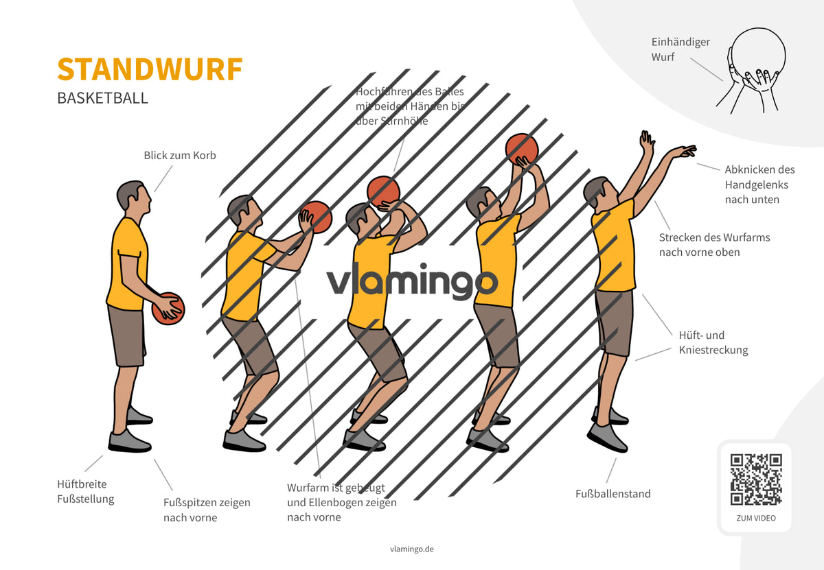 Basketball: 14+ Technikkarten für den Sportunterricht & Verein