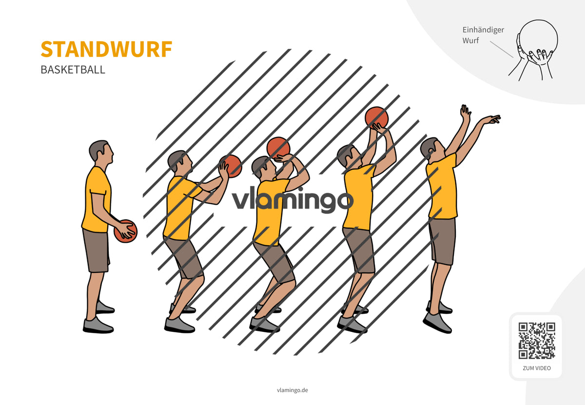 Basketball: 14+ Technikkarten für den Sportunterricht & Verein