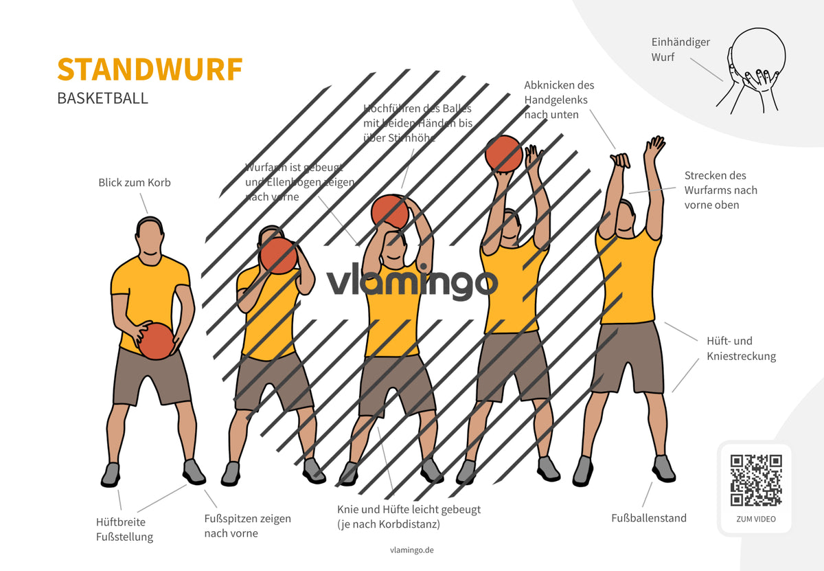Basketball: 14+ Technikkarten für den Sportunterricht & Verein
