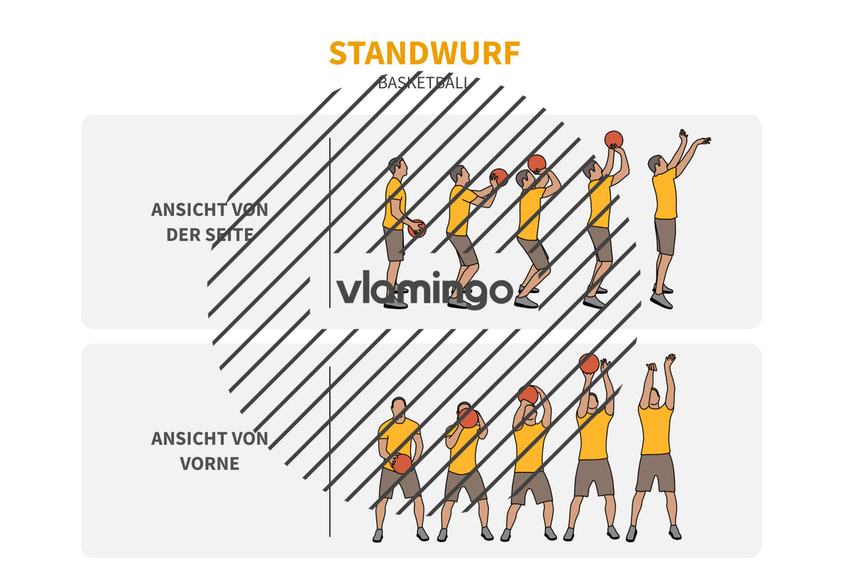 Basketball: 14+ Technikkarten für den Sportunterricht & Verein