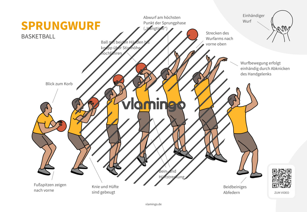 Basketball: 14+ Technikkarten für den Sportunterricht & Verein