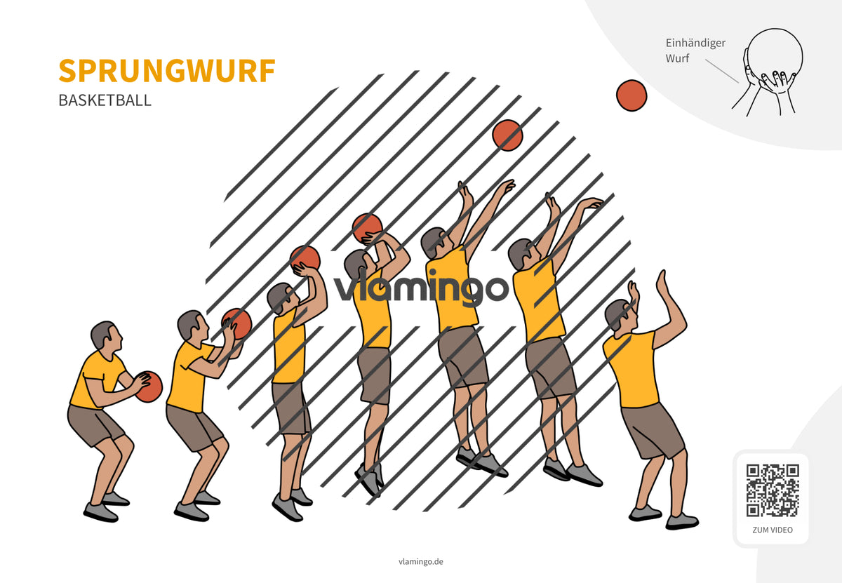Basketball: 14+ Technikkarten für den Sportunterricht & Verein