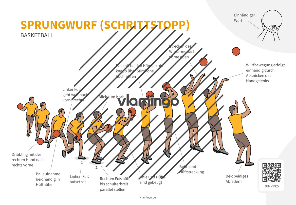 Basketball: 14+ Technikkarten für den Sportunterricht & Verein