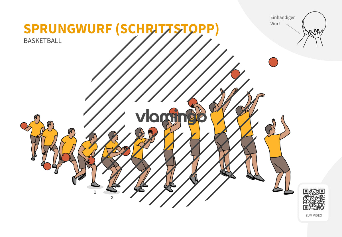 Basketball: 14+ Technikkarten für den Sportunterricht & Verein