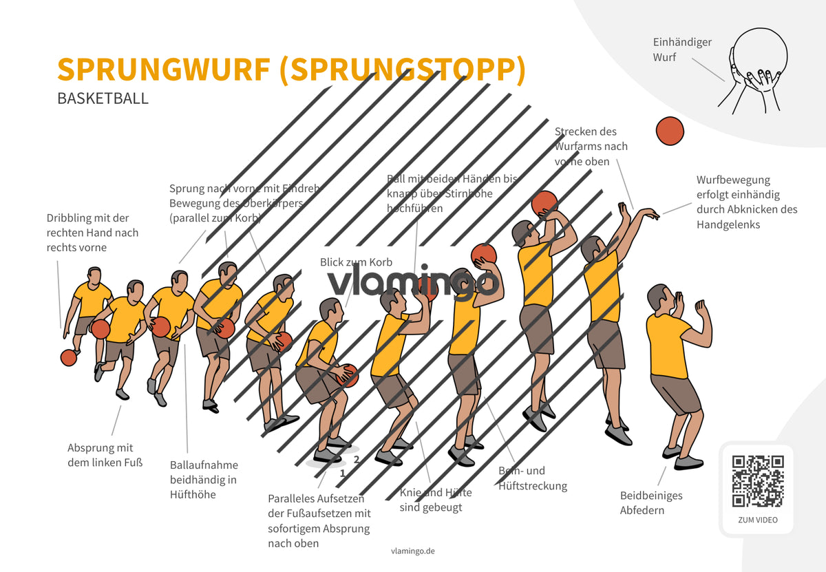 Basketball: 14+ Technikkarten für den Sportunterricht & Verein