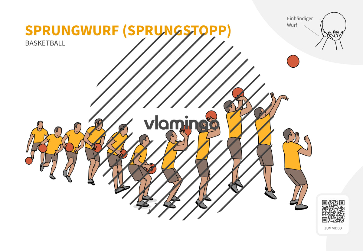 Basketball: 14+ Technikkarten für den Sportunterricht & Verein