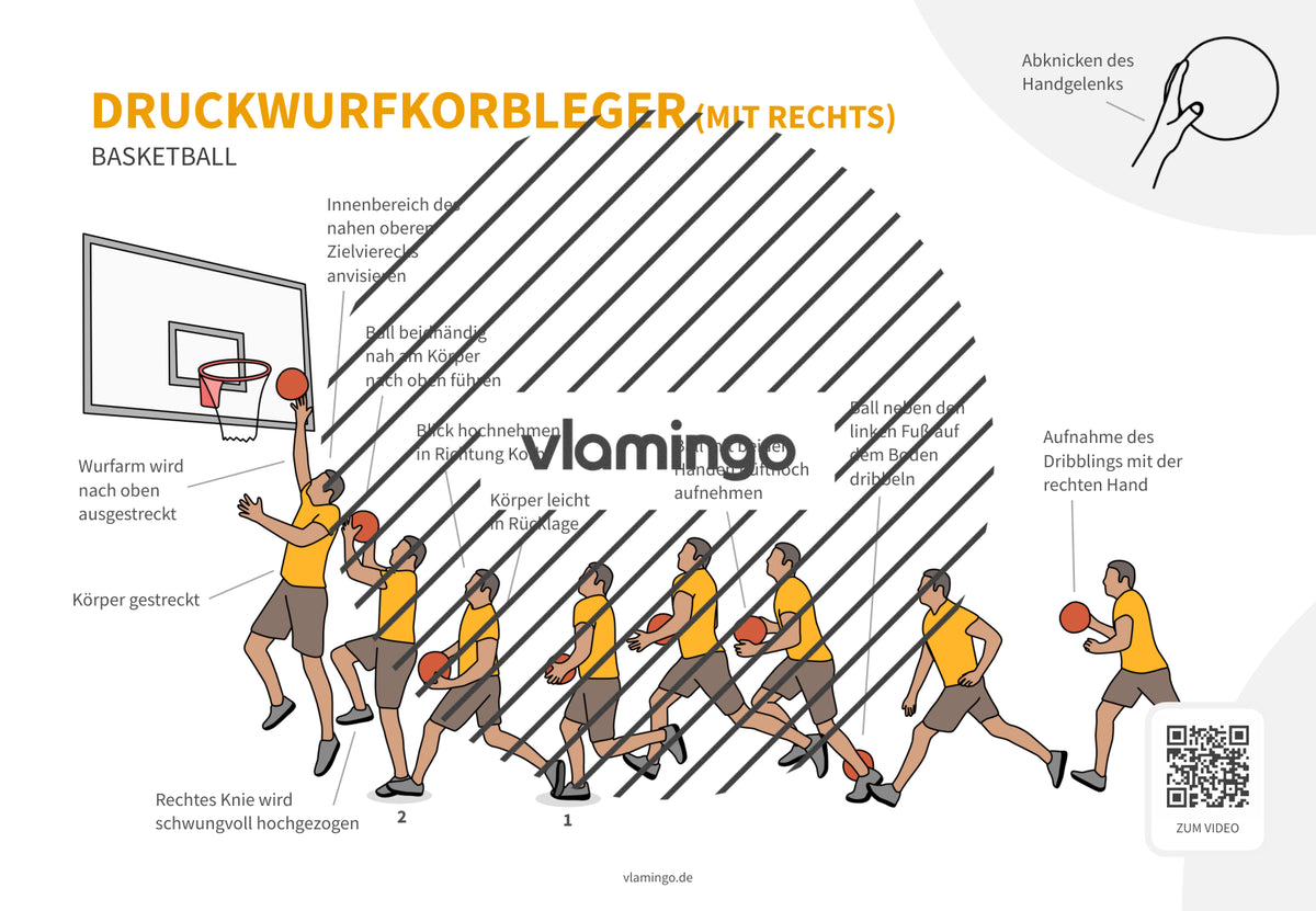 Basketball: 14+ Technikkarten für den Sportunterricht & Verein