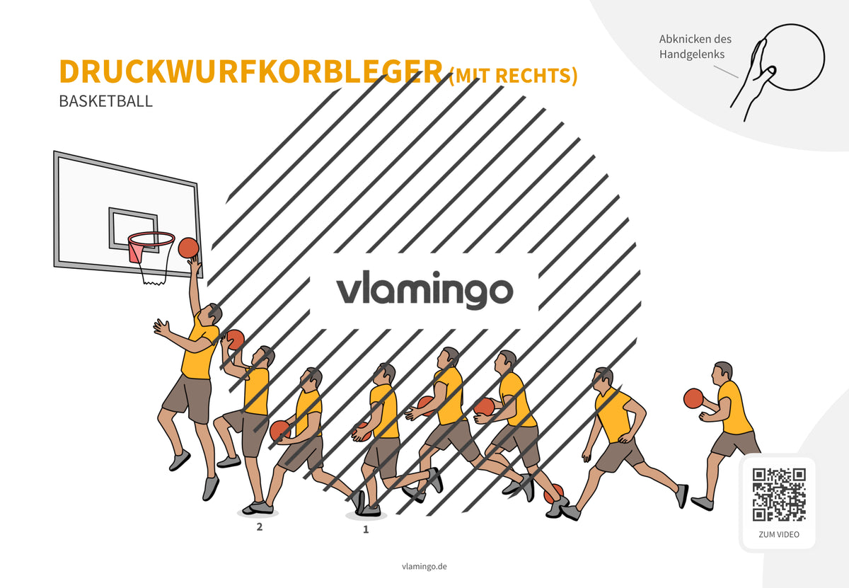 Basketball: 14+ Technikkarten für den Sportunterricht & Verein