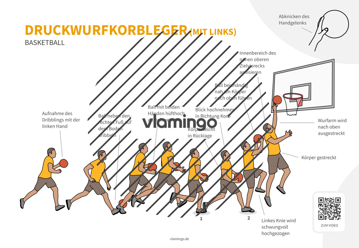 Basketball: 14+ Technikkarten für den Sportunterricht & Verein