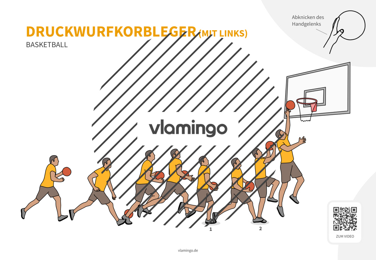 Basketball: 14+ Technikkarten für den Sportunterricht & Verein