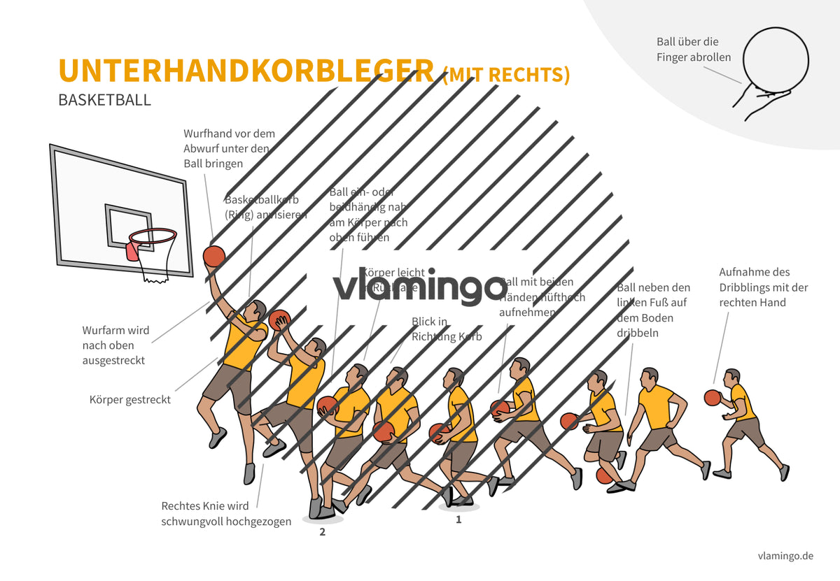 Basketball: 14+ Technikkarten für den Sportunterricht & Verein