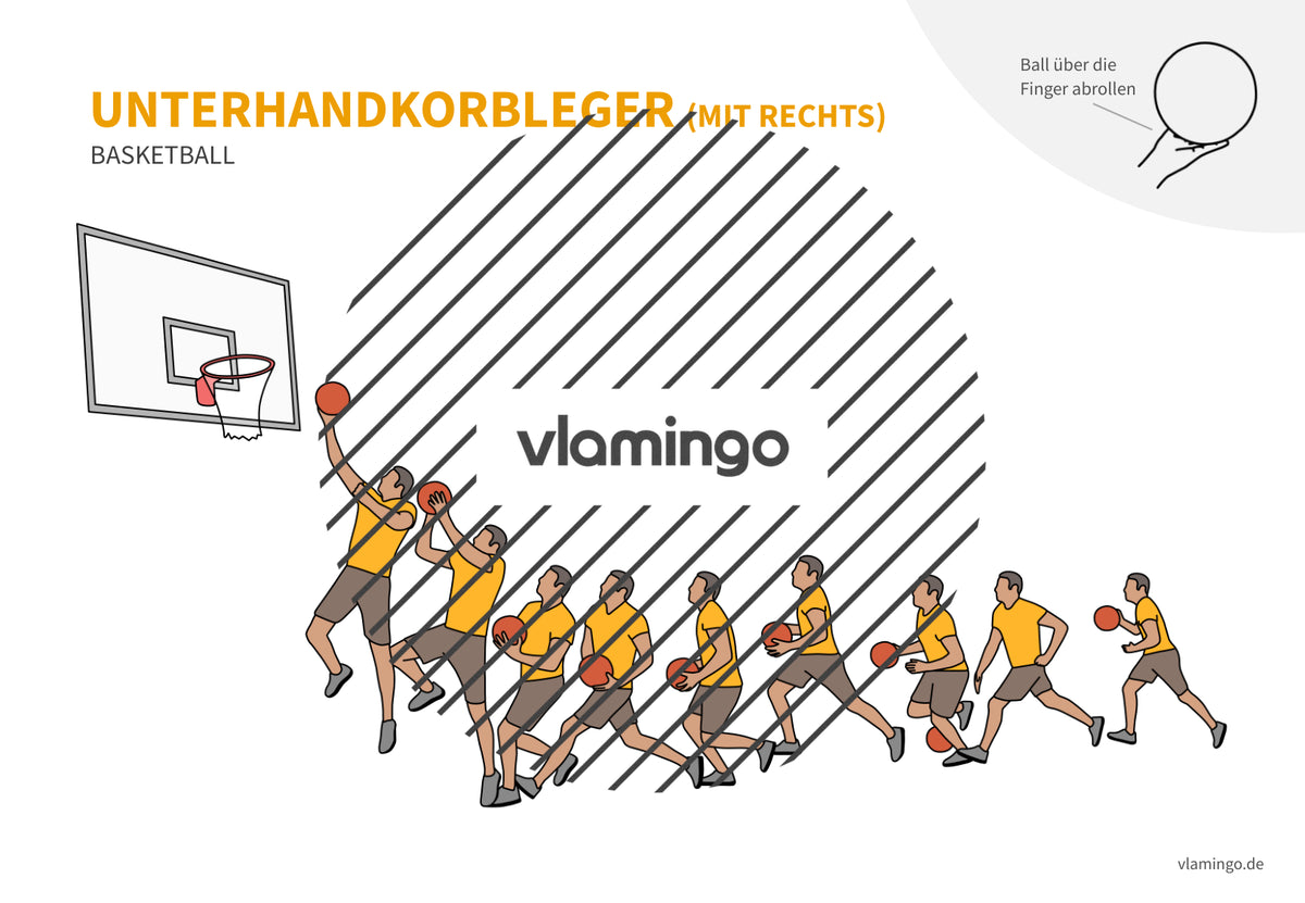 Basketball: 14+ Technikkarten für den Sportunterricht & Verein
